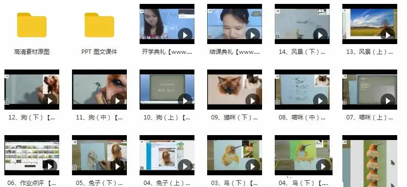 彩铅动物鸟猫狗等16讲_彩铅动物绘超详细教程