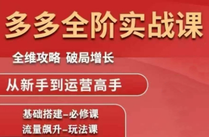 大炮·拼多多全阶实战课程（更新2026）