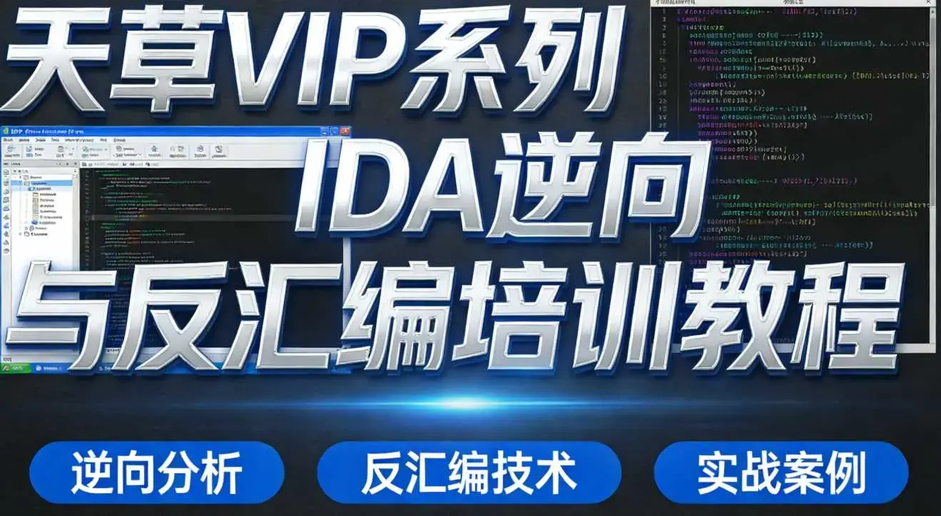 天草VIP系列IDA逆向与反汇编培训教程